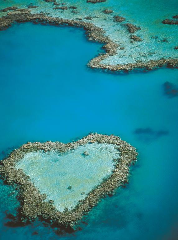 Aparthotel At Waterfront Whitsunday Retreat - Adults Only Airlie Beach Exteriér fotografie